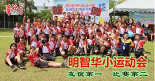 2018 新人争锋：大谷翔平在新人王投票中击败洋基队的安杜哈尔